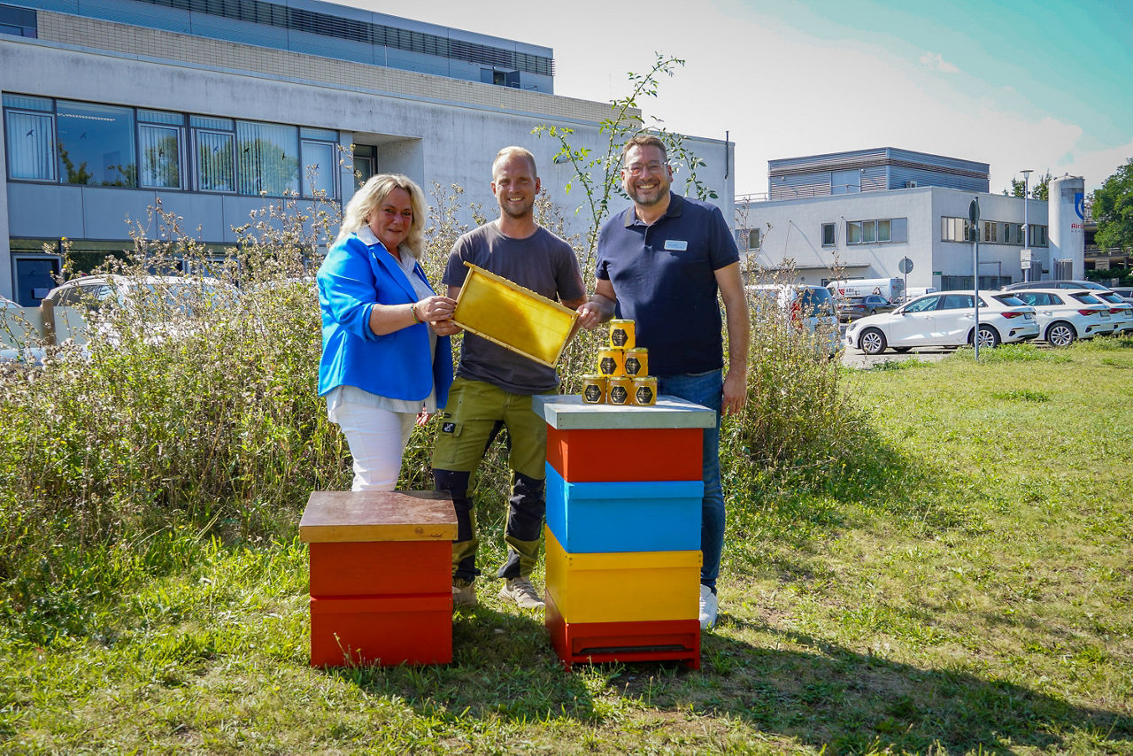 Neue Bewohner auf unserem Klinikgelände: Honigbienen sorgen bald für mehr Nachhaltigkeit!