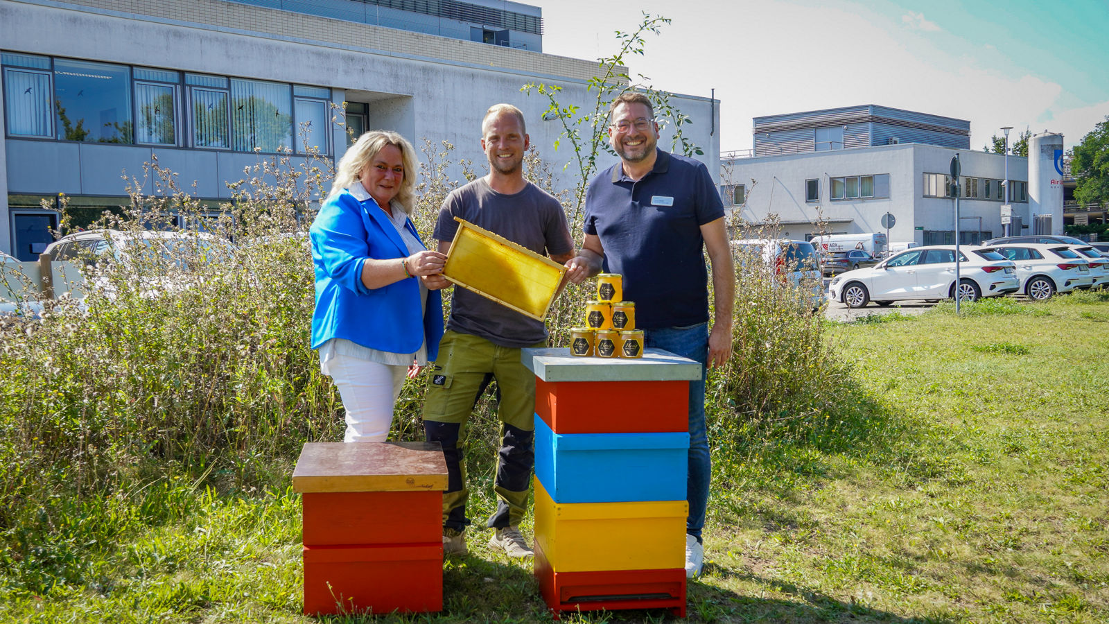 Eröffnung Honigbienenstöcke