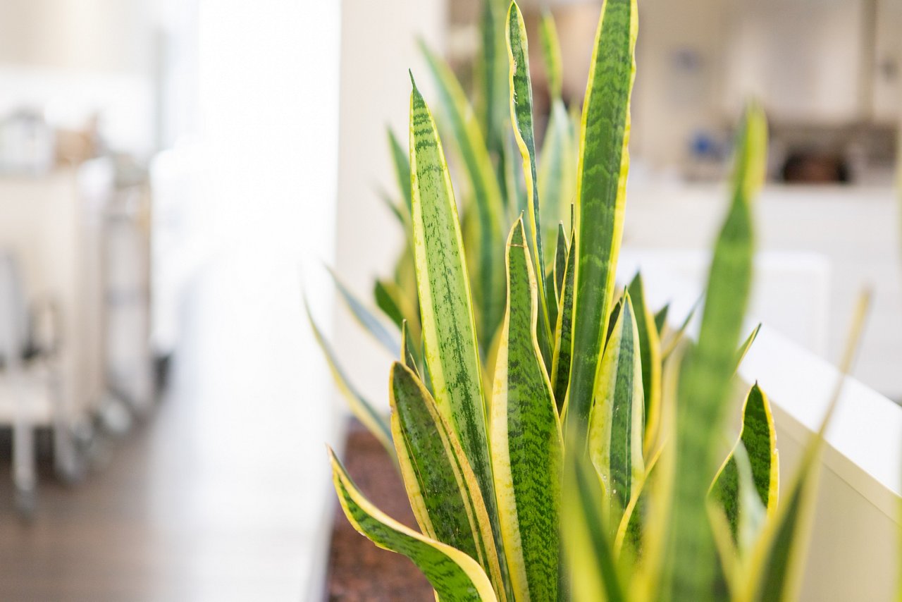 Helios Klinikum Gifhorn