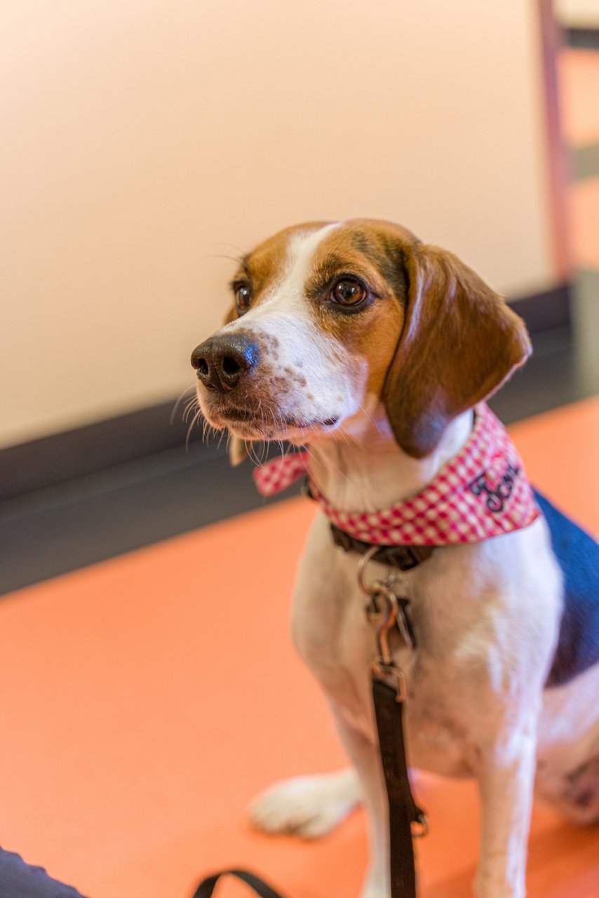 Helios St.Marienberg Helmstedt