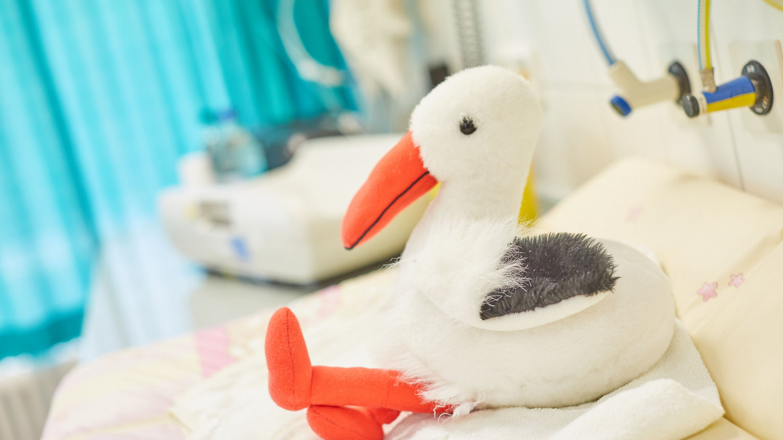 Helios Klinik Herzberg/Osterode: Informationsabend für werdende Eltern