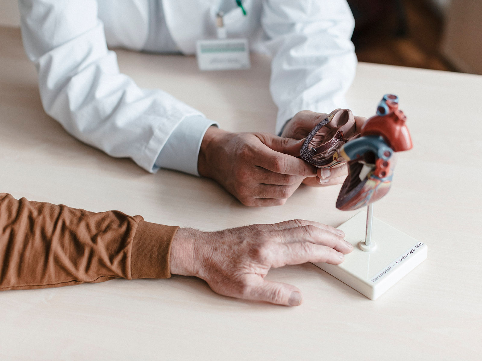 Ein Arzt erklärt einem Patienten die Funktionsweise des Herzens anhand eines anatomischen Modells. Die bildliche Darstellung fördert das Verständnis für Herzgesundheit.