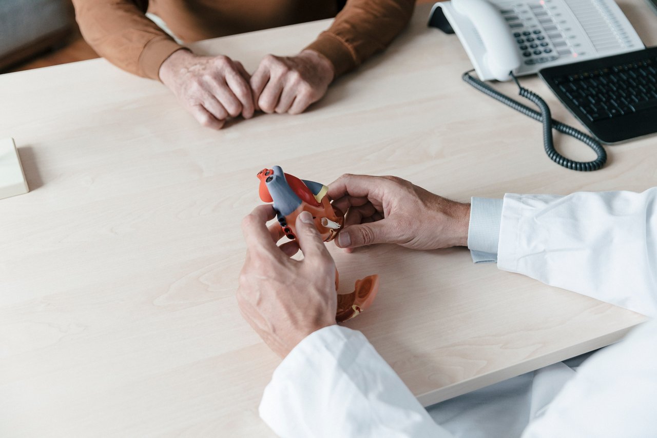 Ein Arzt erklärt einem Patienten die Funktionsweise des Herzens anhand eines anatomischen Modells. Die bildliche Darstellung fördert das Verständnis für Herzgesundheit.