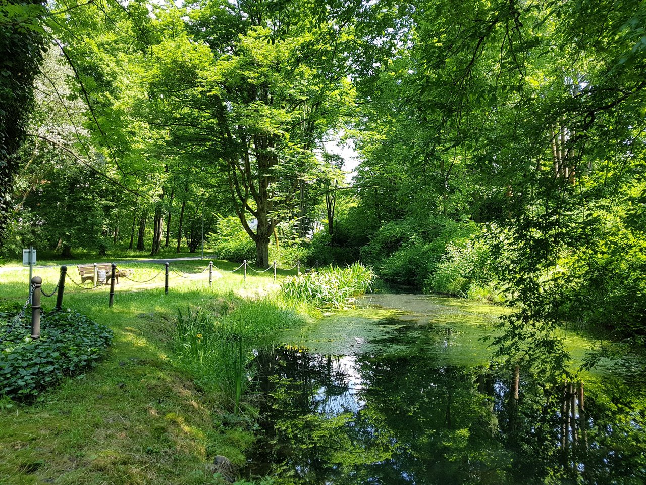 Teich im Klinikpark