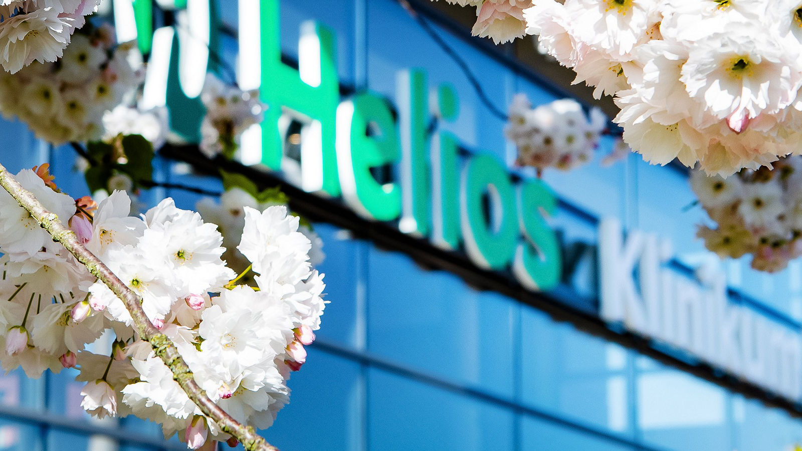 Die Helios Kliniken im Cluster Berlin-Brandenburg liefern medizinische Spitzenergebnisse.
