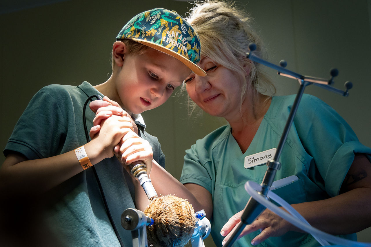 Entdecken Sie die Welt der Medizin: Lange Nacht der Wissenschaften im Helios Klinikum Berlin-Buch