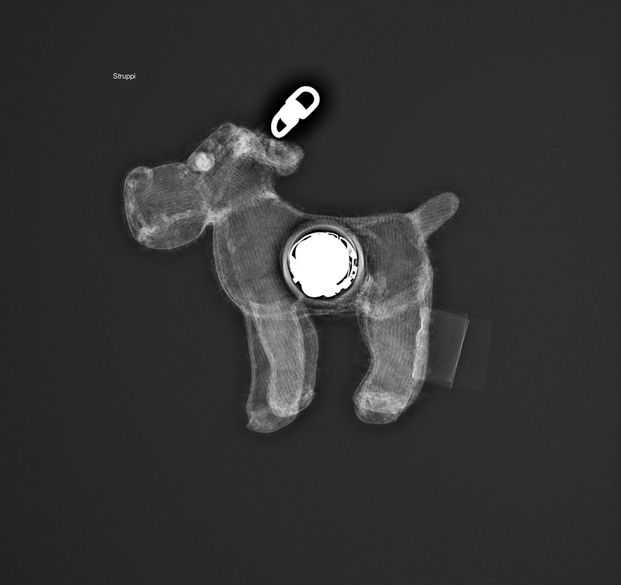 Röntgenbild eines Kuscheltieres