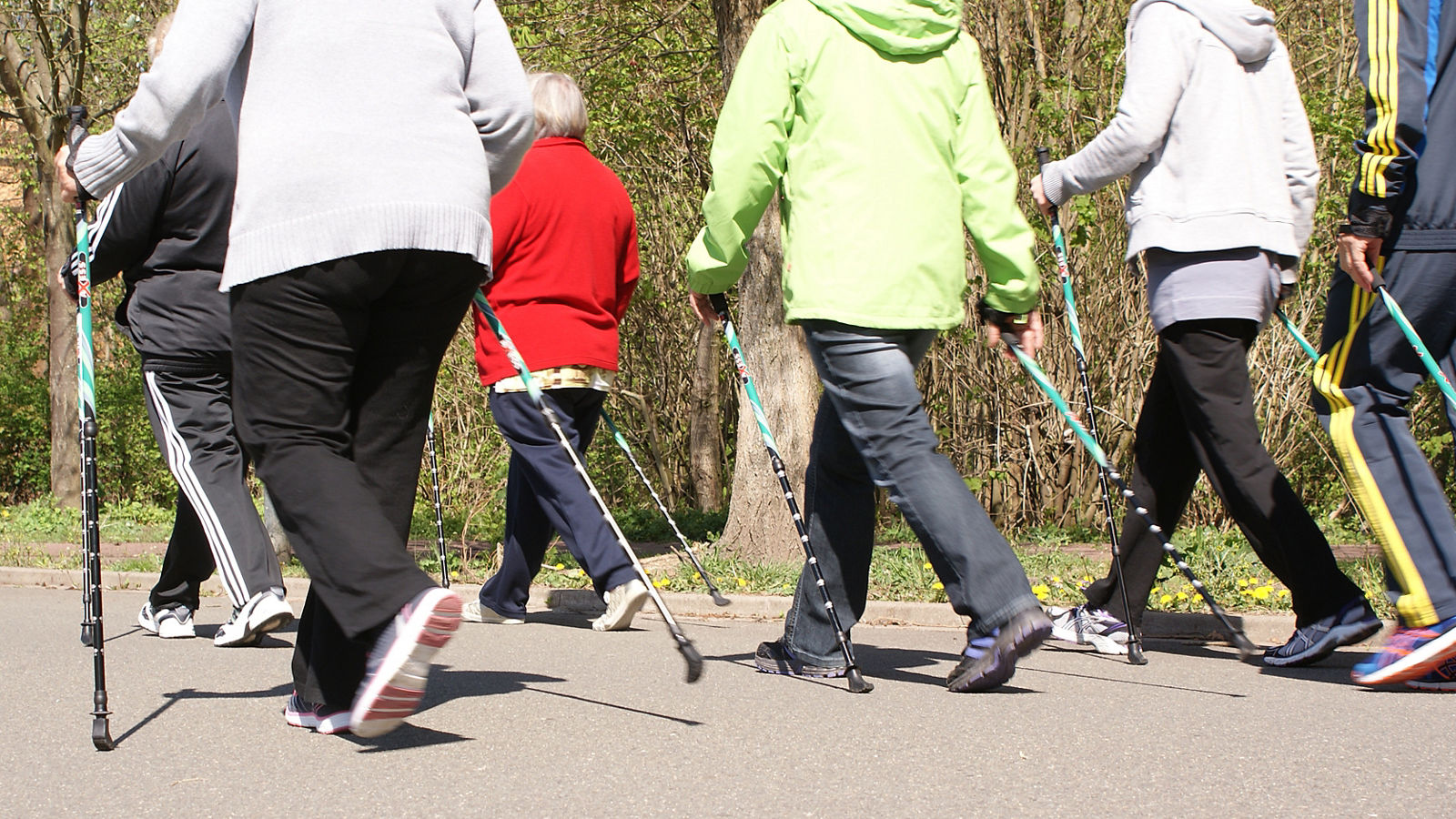 Nordic Walking Schmerztherapie