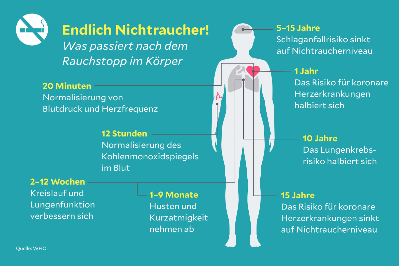 Was passiert nach dem Rauchstopp im Körper?