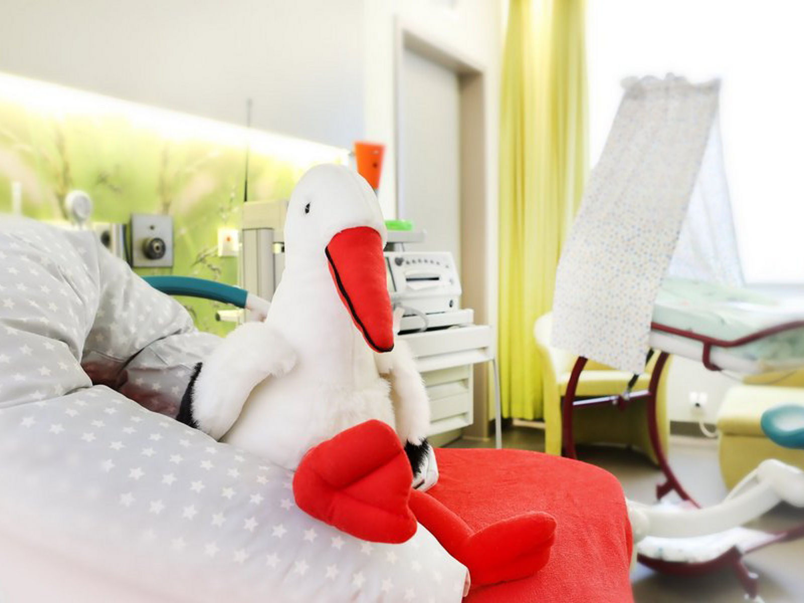 Vom ersten Herzschlag bis zur ersten Begegnung:  Helios Klinik Köthen lädt zum Blick hinter die Kulissen der Geburtshilfe