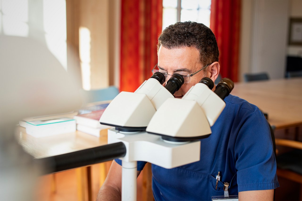 Prof. Assaf bei einer mikroskopischen Untersuchung 