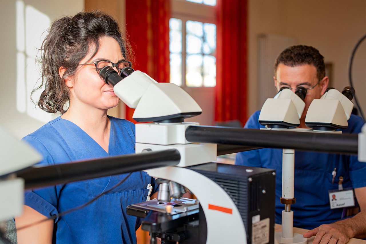 Mikroskopische Untersuchung in der Dermatologie