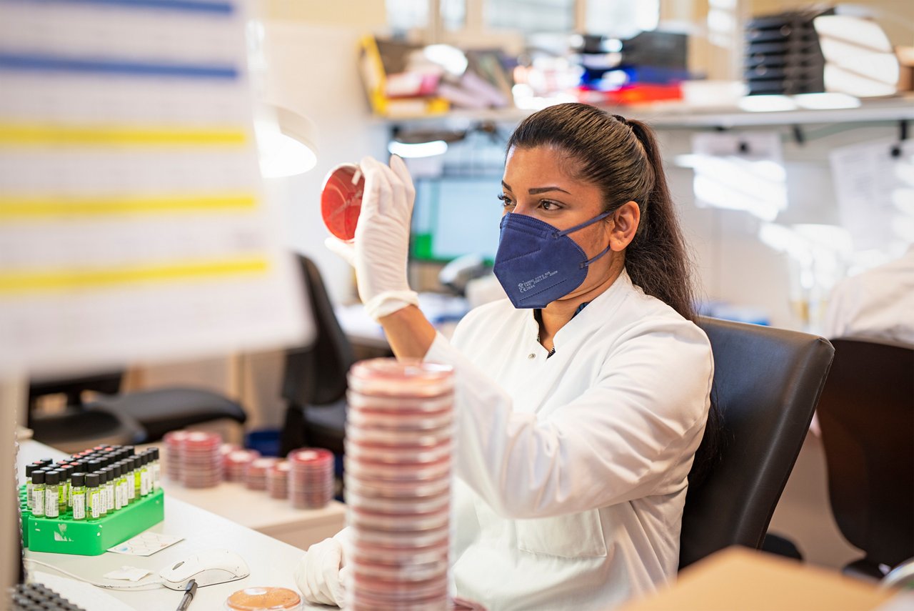 Eine Labormitarbeiterin schaut durch eine Petrischale