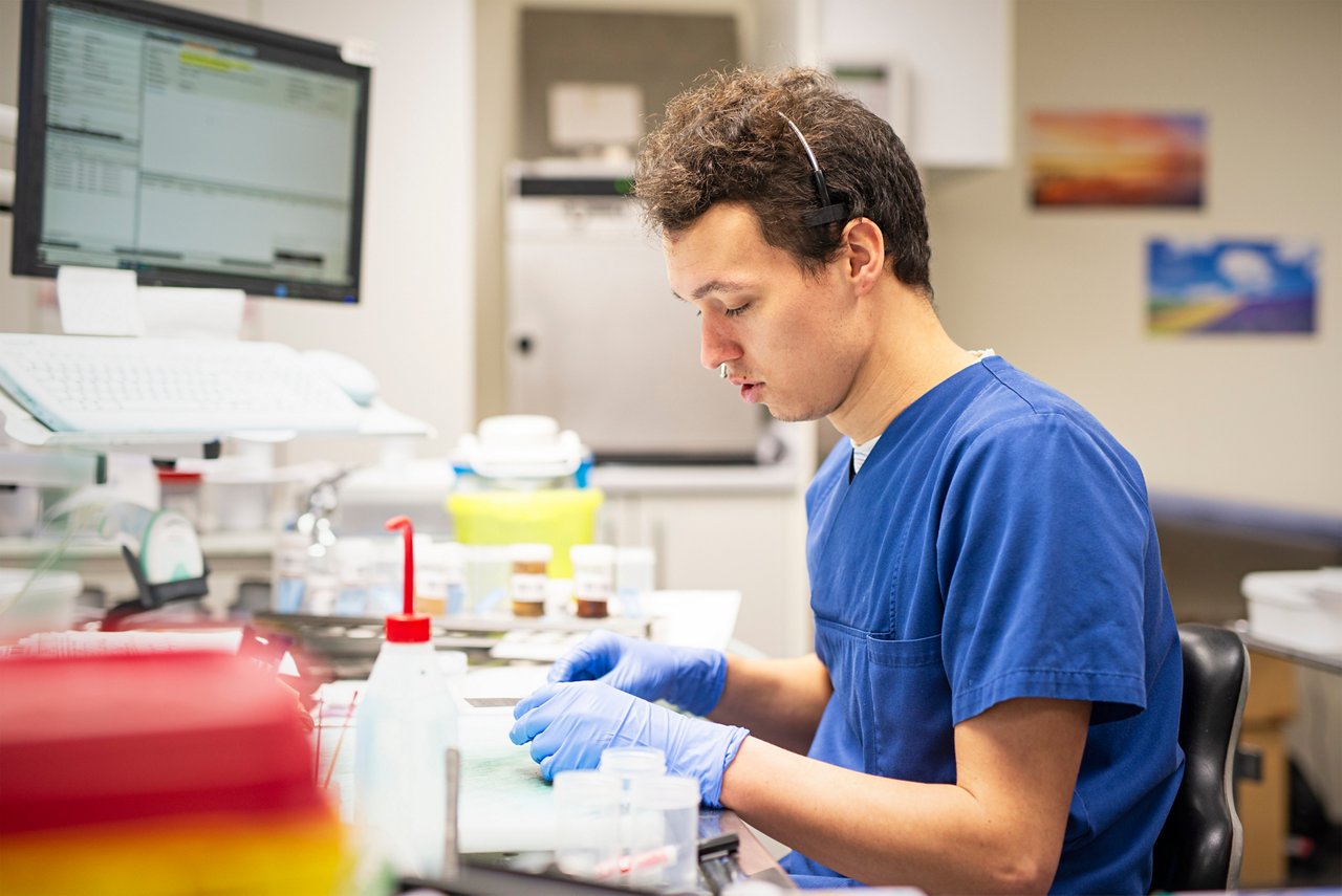 Beurteilung und Aufbereitung von Operationspräparaten mit bloßem Auge