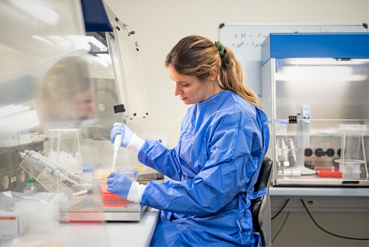 Moderne molekulare Analyse