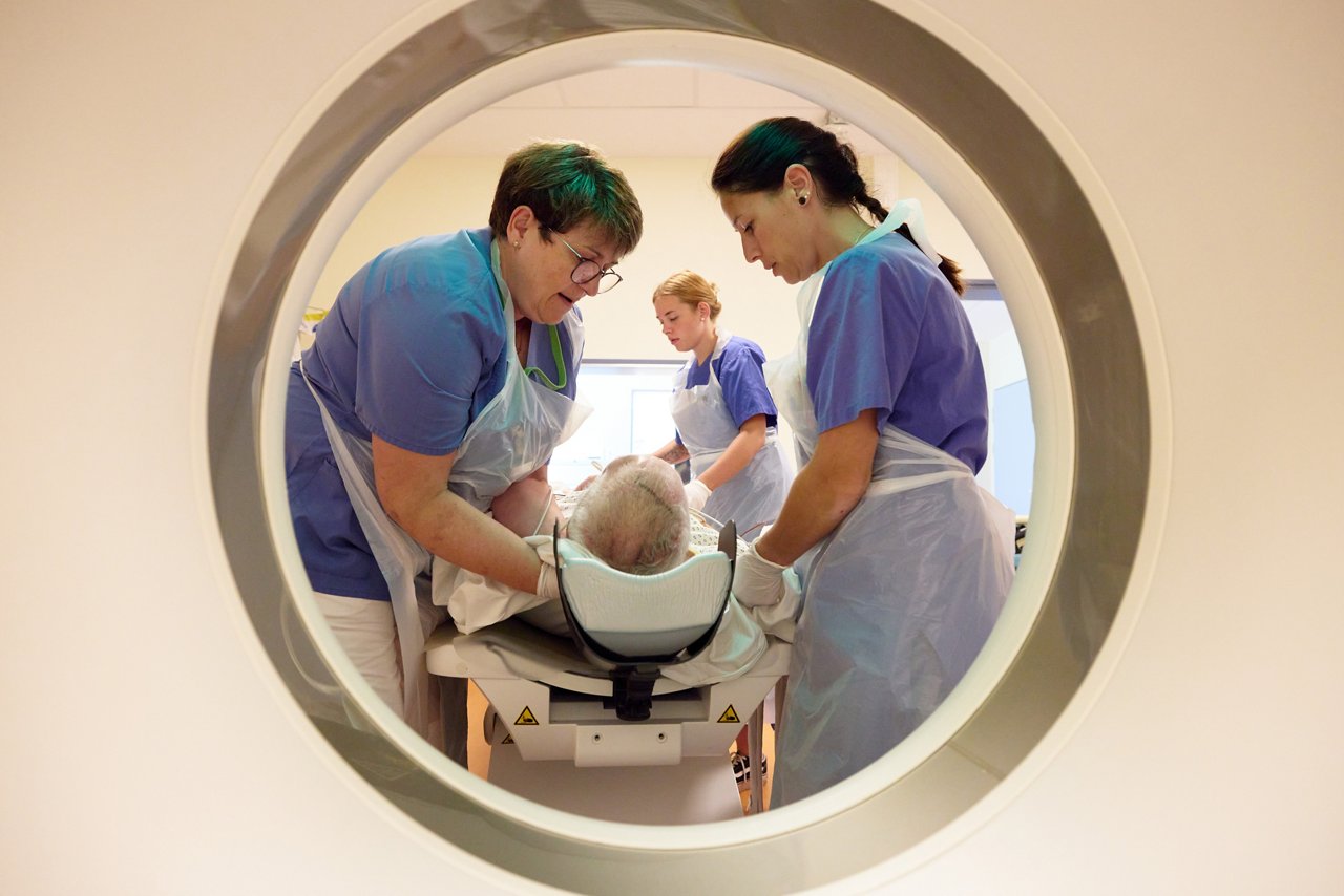 MTRAs bereiten Patienten auf CT vor