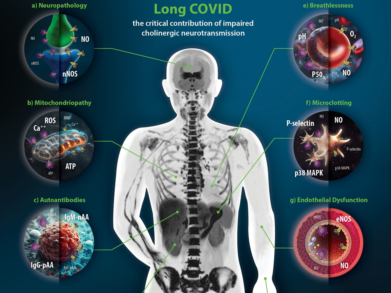 Vortrag informiert über Nikotinpflastertherapie bei Long-COVID-Syndrom