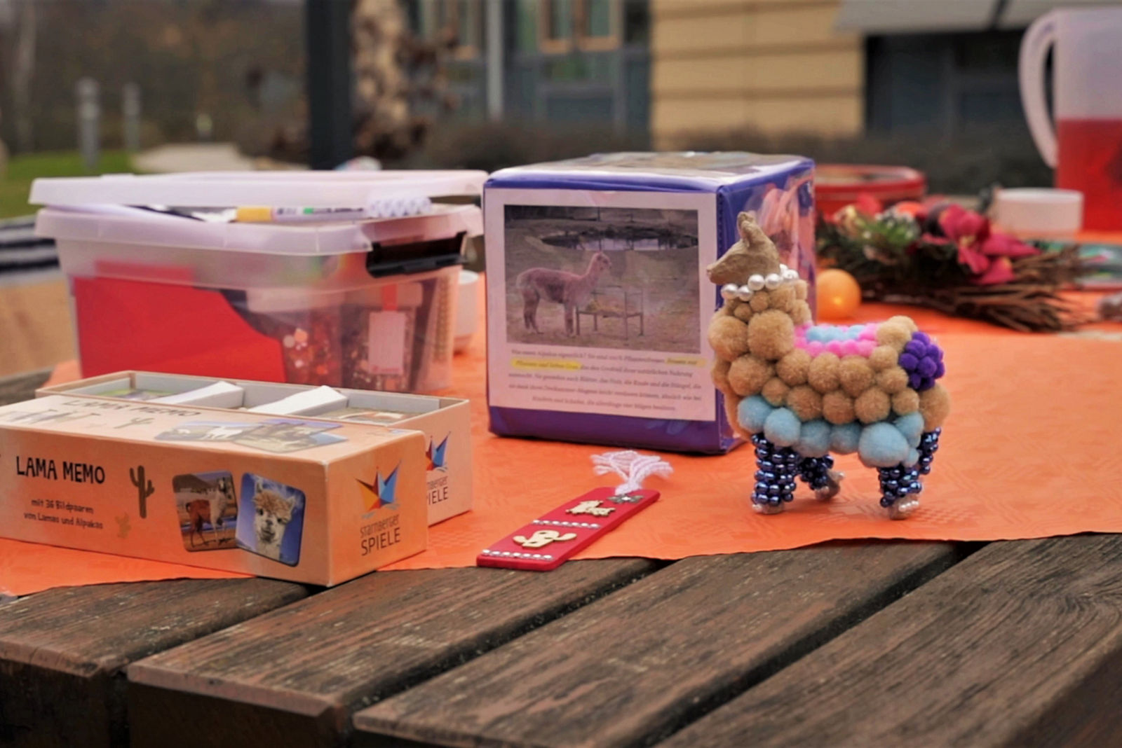 Alpakatherapie Spiele KJP