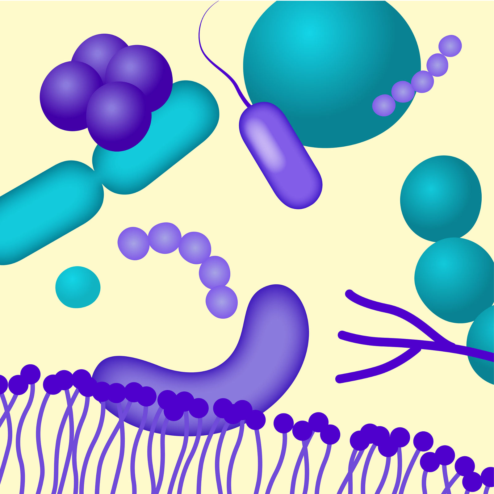 Illustration - Kategorien - Gesundeitsmagazin
