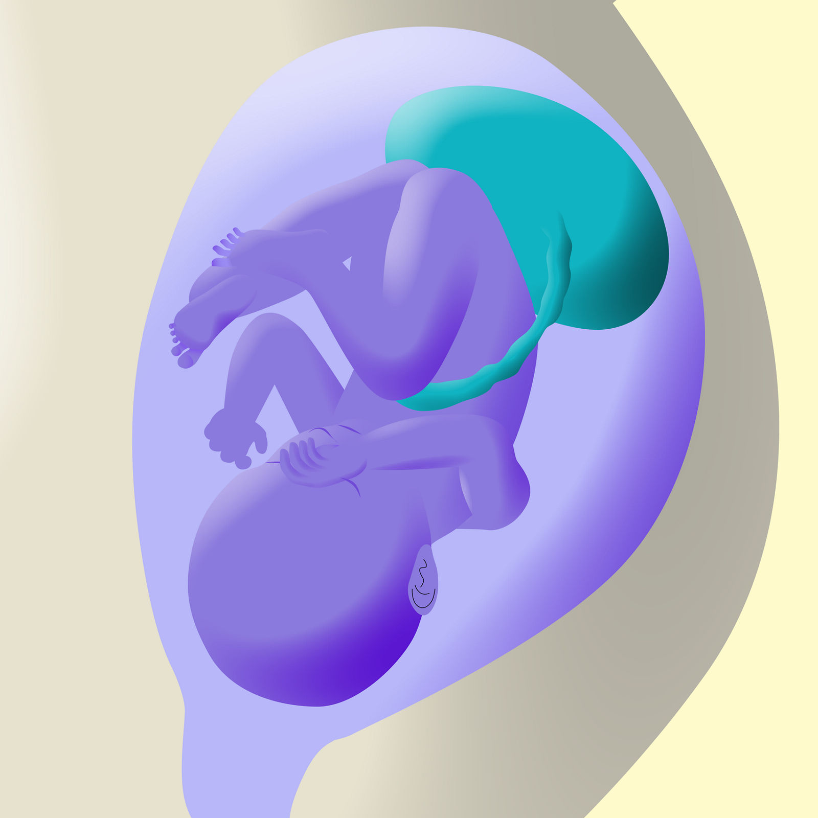 Illustration - Kategorien - Gesundeitsmagazin