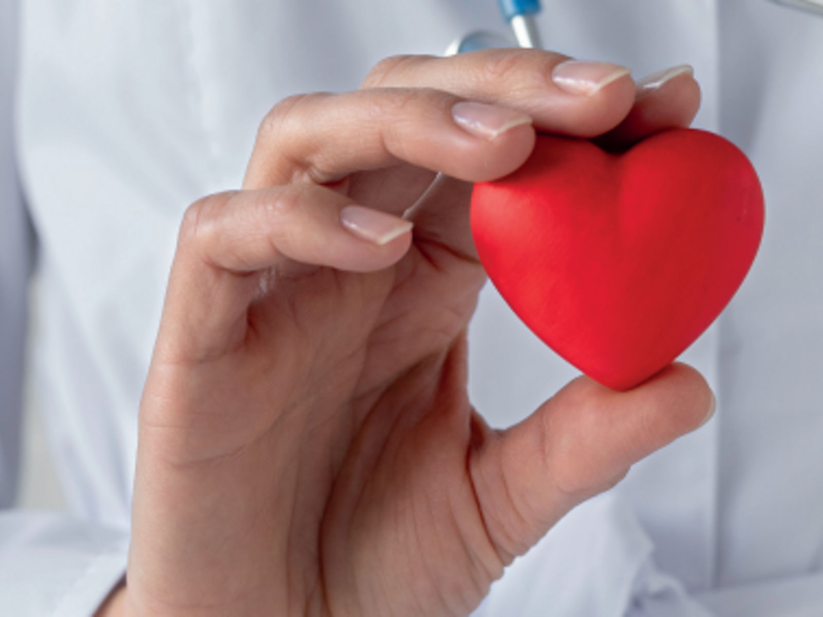 Herz im Blick – Infoabend zur Kardiologie in Meiningen