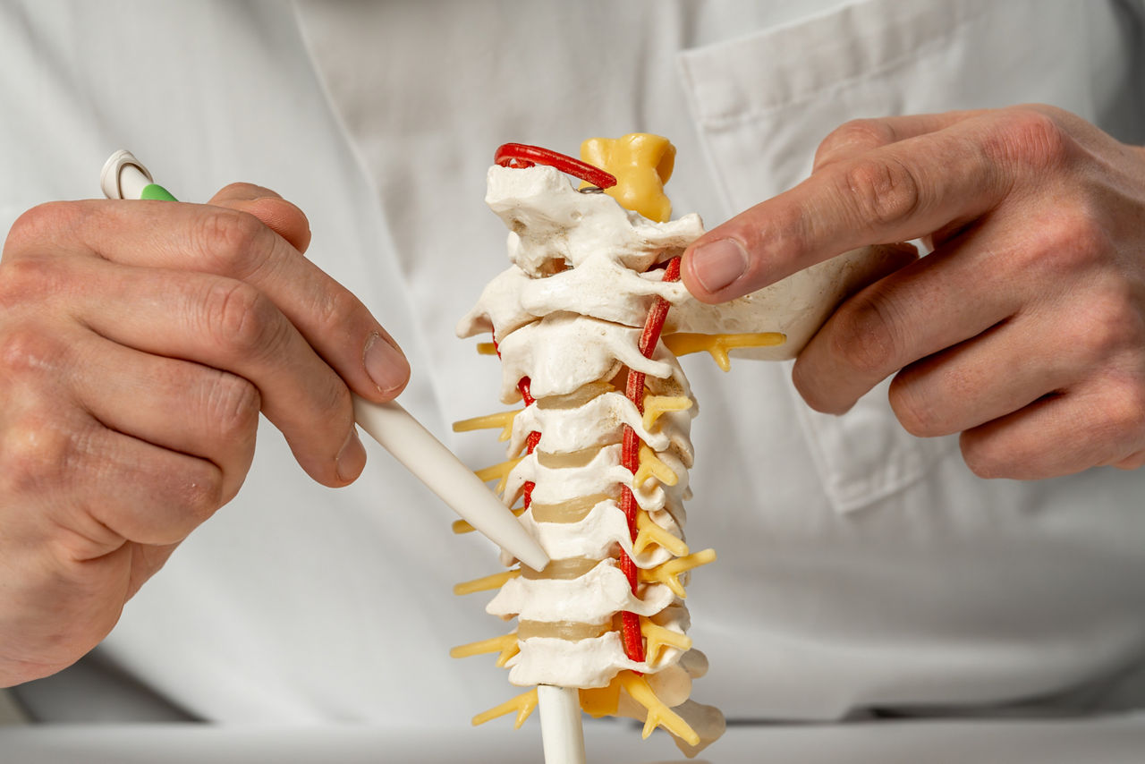 Sonderveranstaltung Patientenakademie: Chronische Wirbelsäulenbeschwerden und Schmerzen