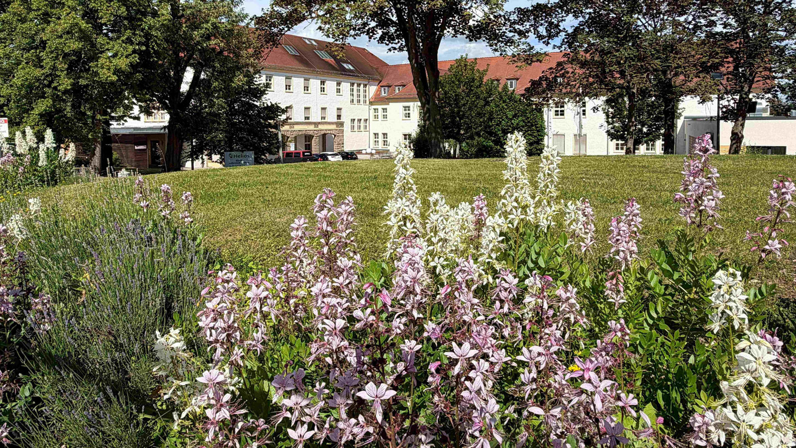 Klinikstandort Lutherstadt Eisleben