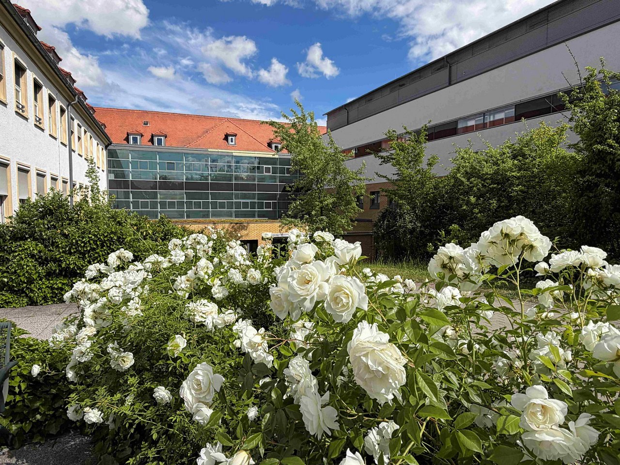 Klinikstandort Lutherstadt Eisleben