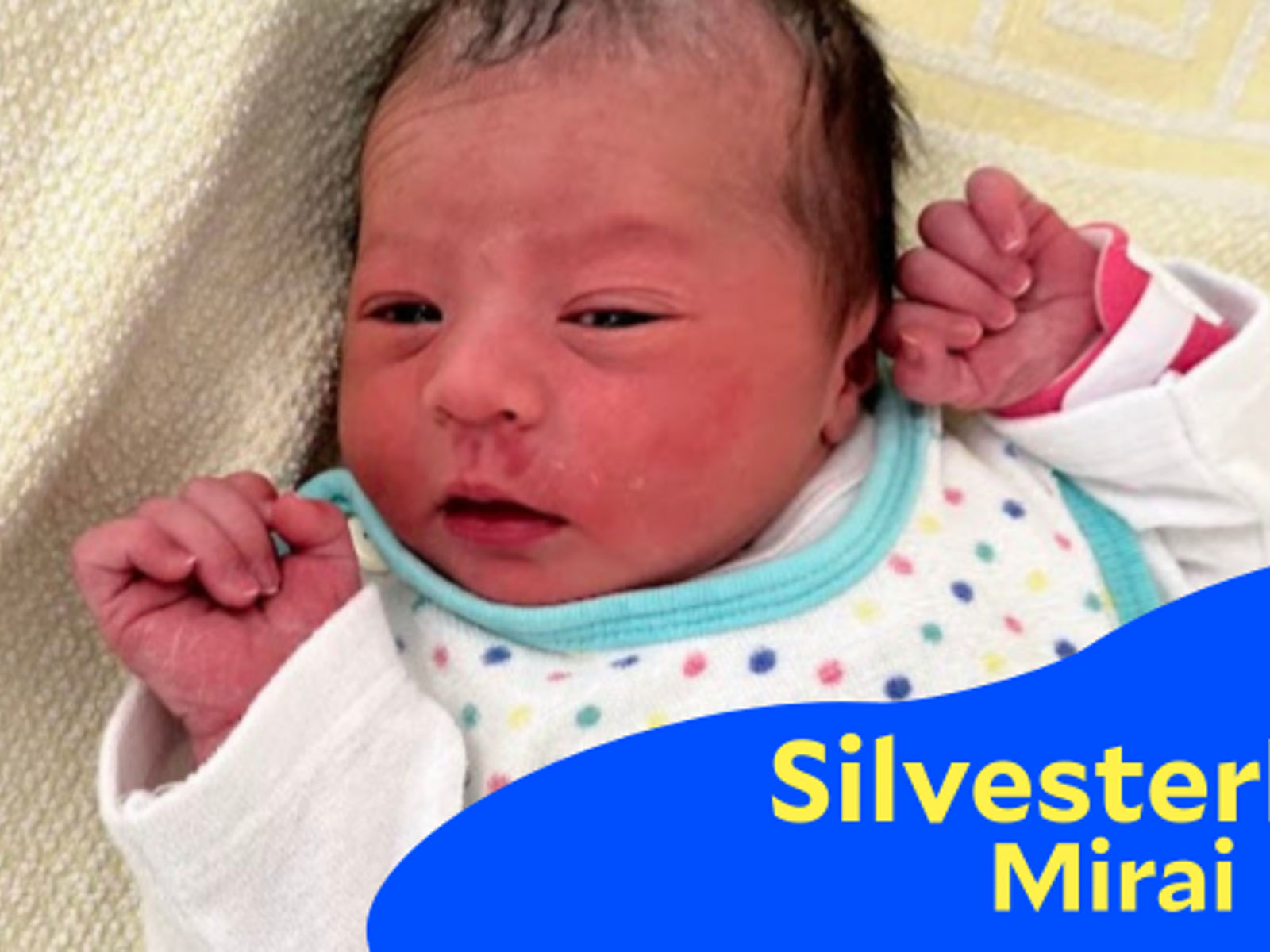 Neues Leben zum Jahreswechsel