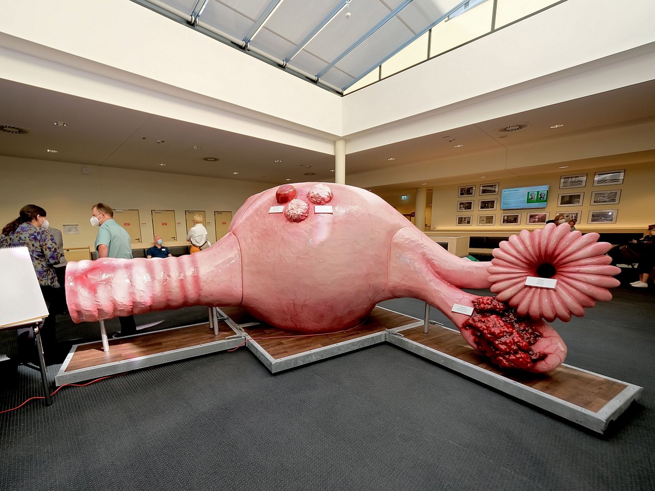 Helios Krankenhaus
Tag der offenen Tür