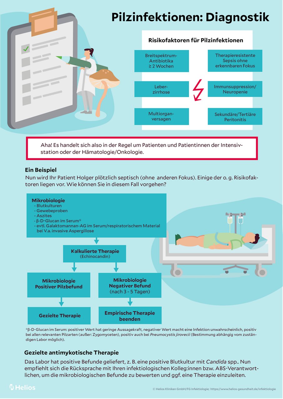 Pilzinfektion - Diagnostik Infografik