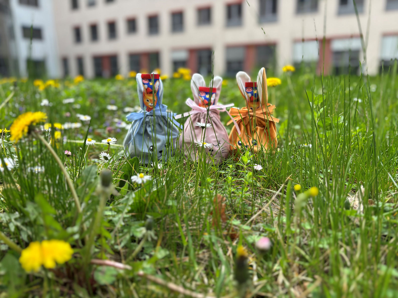 Eil: Osterhase am Helios Klinikum Pirna gesichtet!