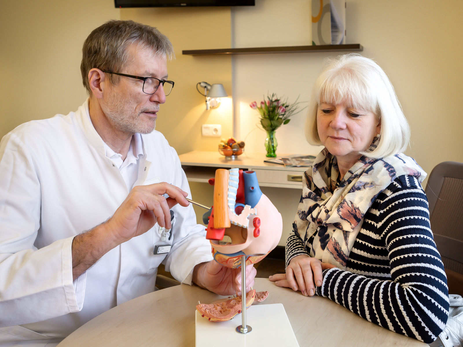 Arzt erklärt Patientin am Herzmodell
