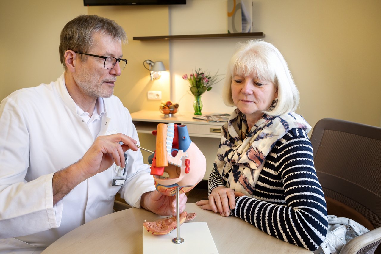 Arzt erklärt Patientin am Herzmodell