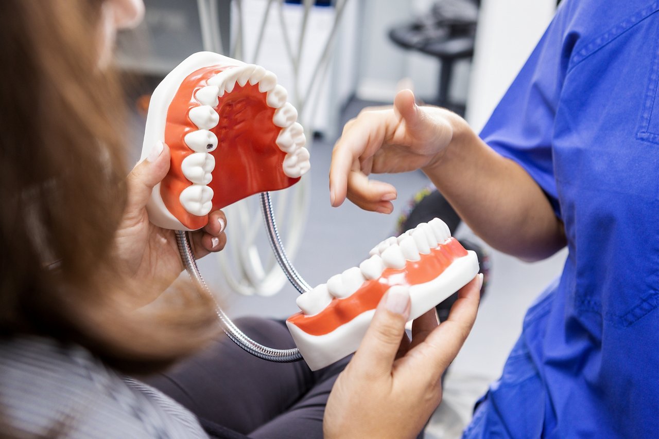 Gebissmodell der MKG