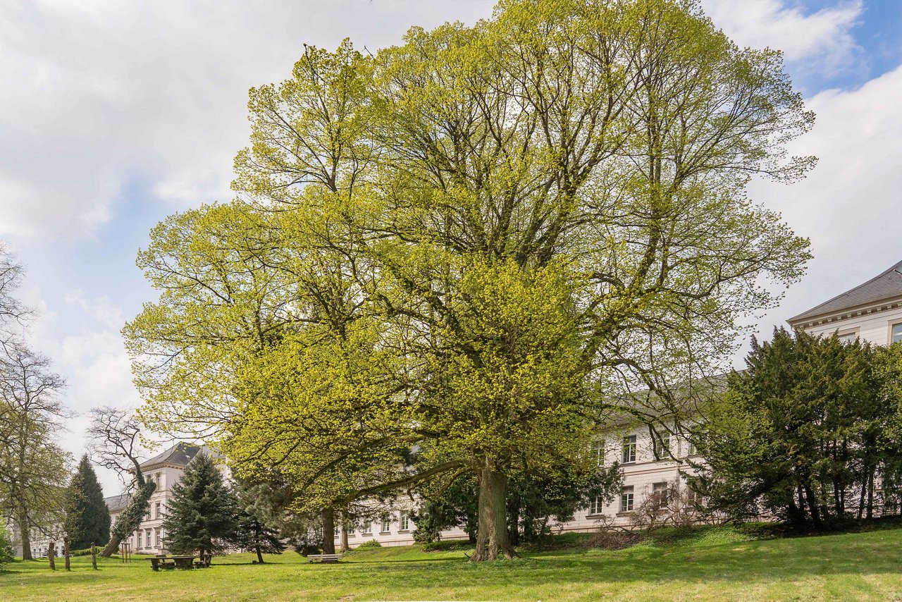 Unser weitläufiger Klinikpark