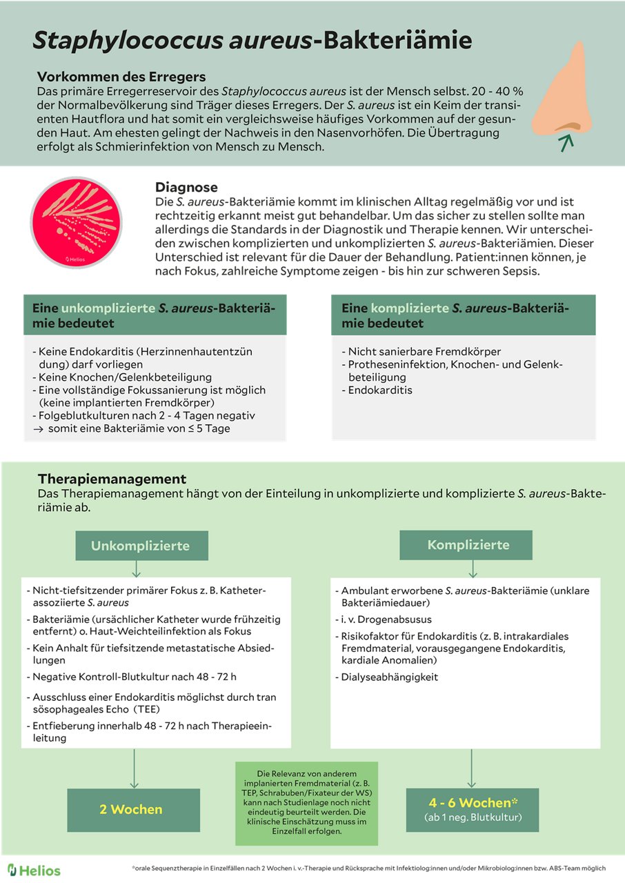 Staphylococcus aureus-Bakteriaemie, Diagnose, Therapiemanagement Infografik