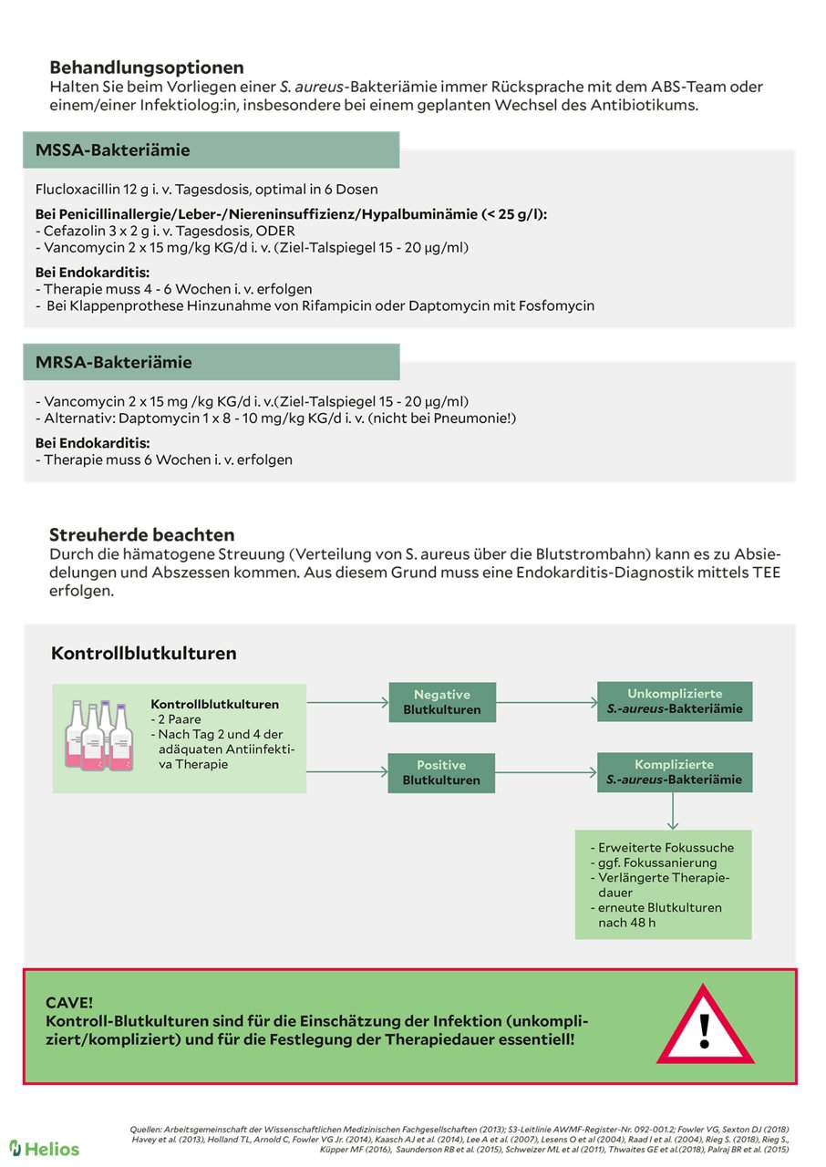 Behandlungsoptionen, MSSA-Bakteriaemie Infografik