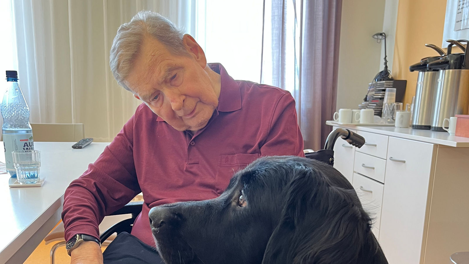 Therapiehund Geriatrie