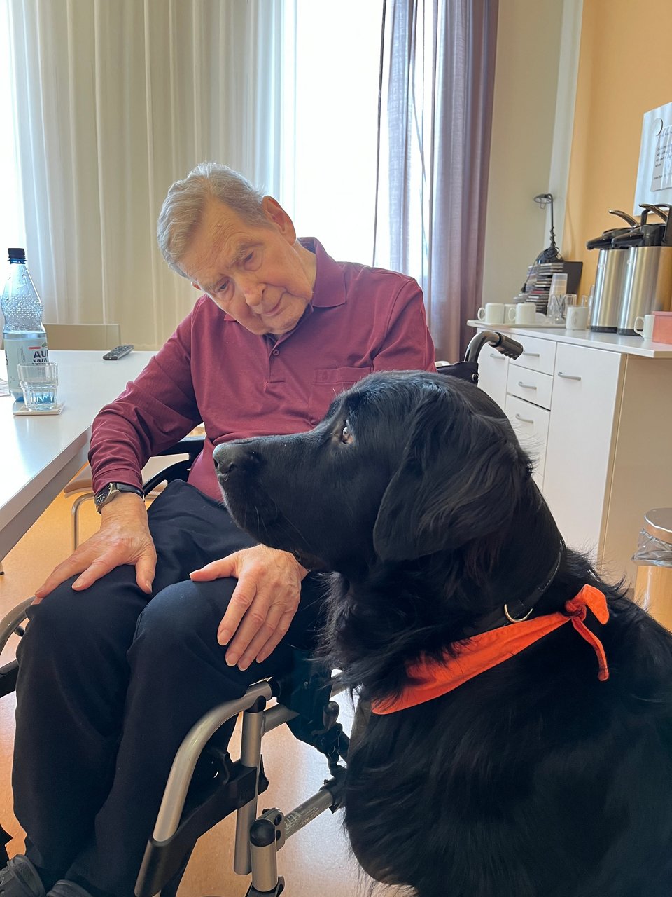 Winston mit Patient in Gifhorn