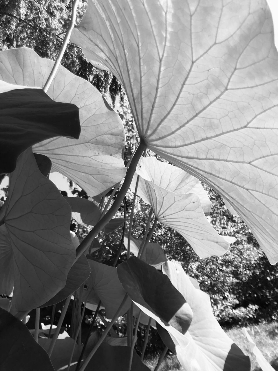 Vernissage zum Fotoprojekt „Sehnsuchtsorte“ am 1. Juli 2026