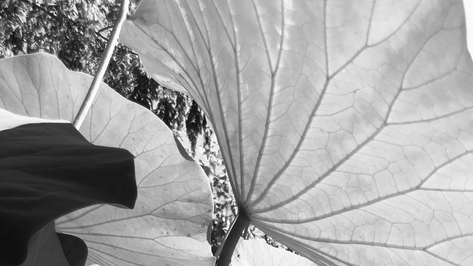 Foto von Therese Stuber