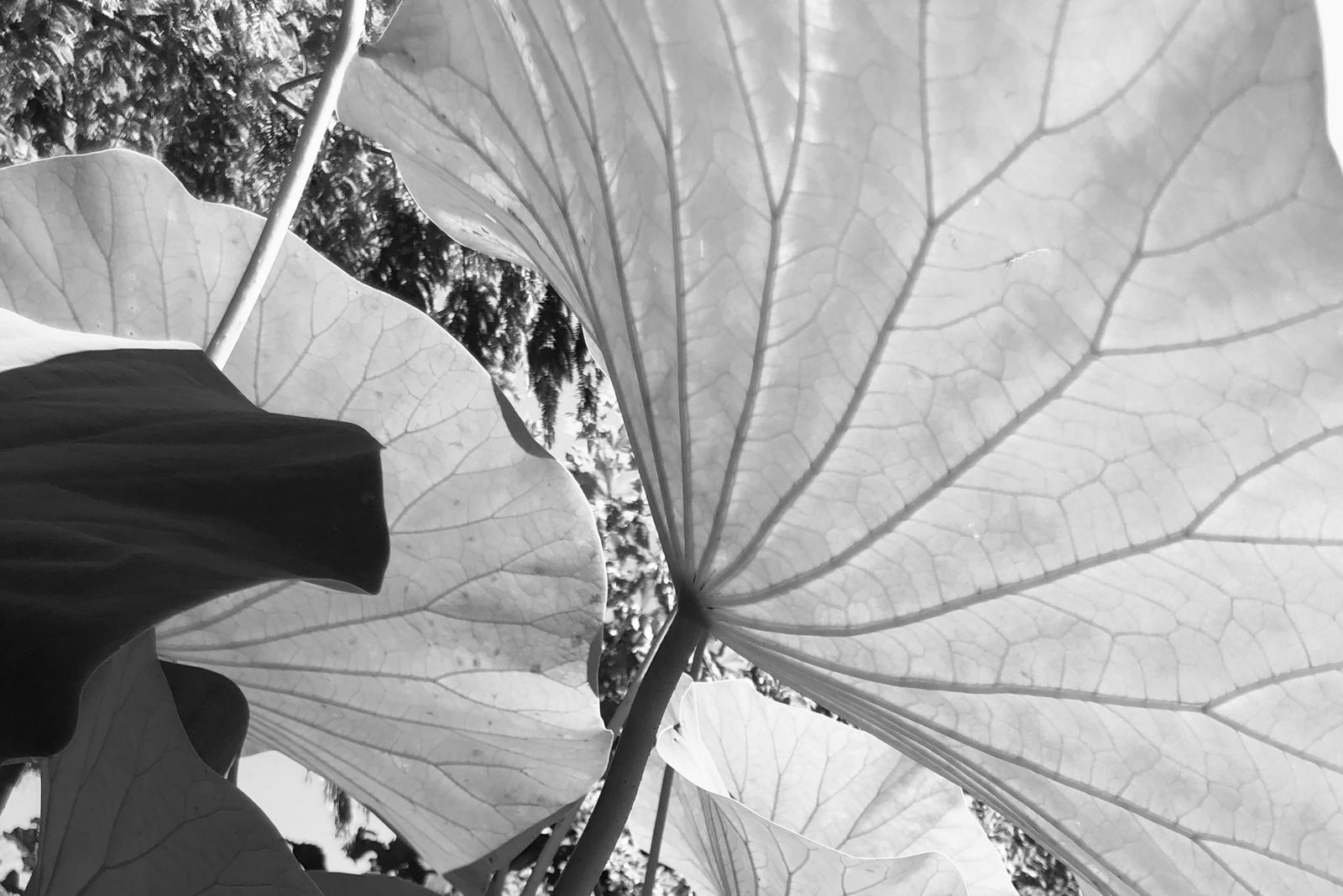 Vernissage zum Fotoprojekt „Sehnsuchtsorte“ am 1. Juli 2026