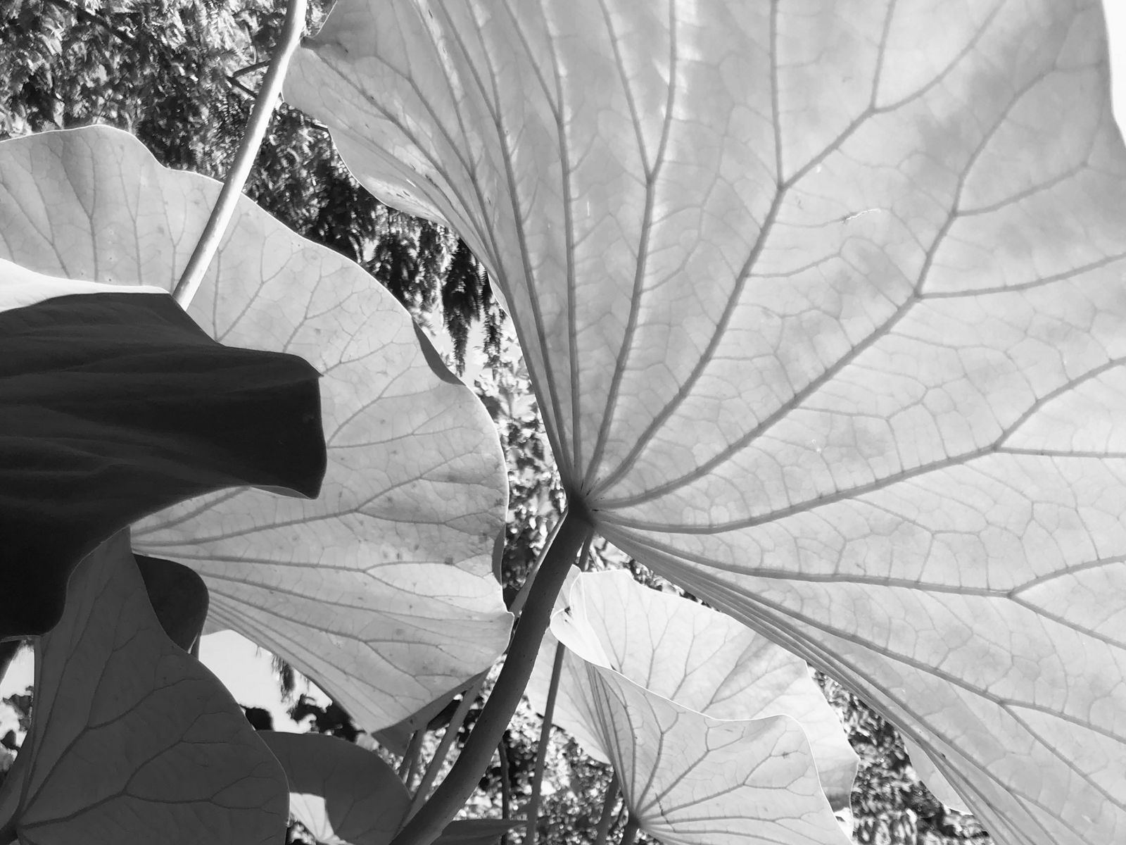 Vernissage zum Fotoprojekt „Sehnsuchtsorte“ am 1. Juli 2026