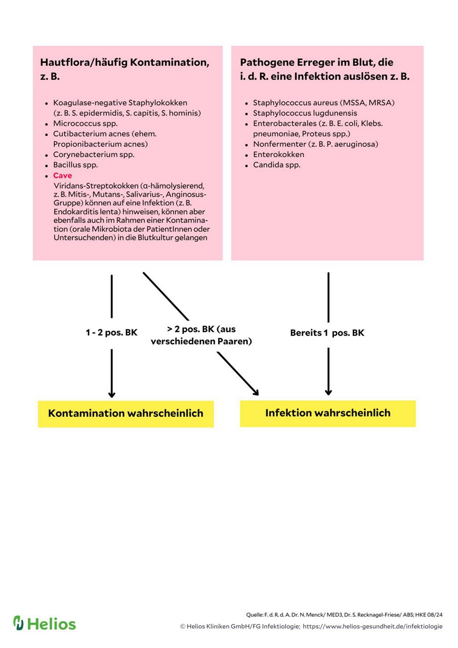 Anleitung für Blutkulturen Entnahme und Diagnostik Seite 2
