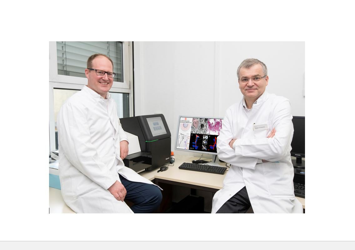 Prof. Ackermann und Prof. Kvasnika