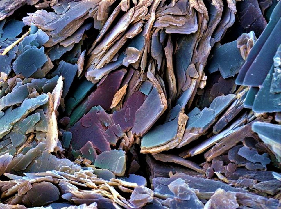 Das Unsichtbare im menschlichen Körper sichtbar machen