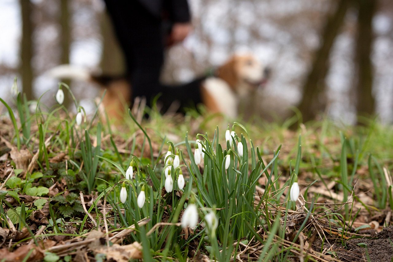 Auszubildende Annalena