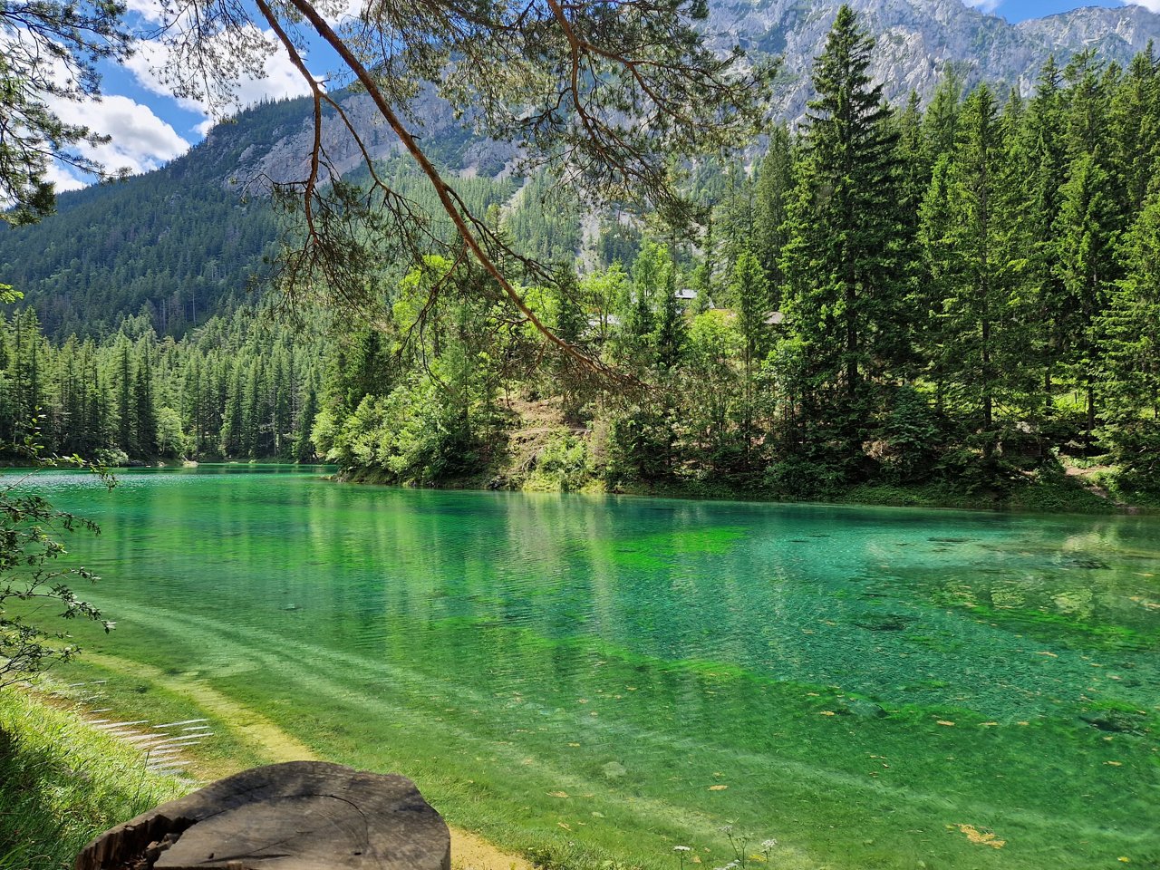 Fotowettbewerb: Im Rausch der Farben 13