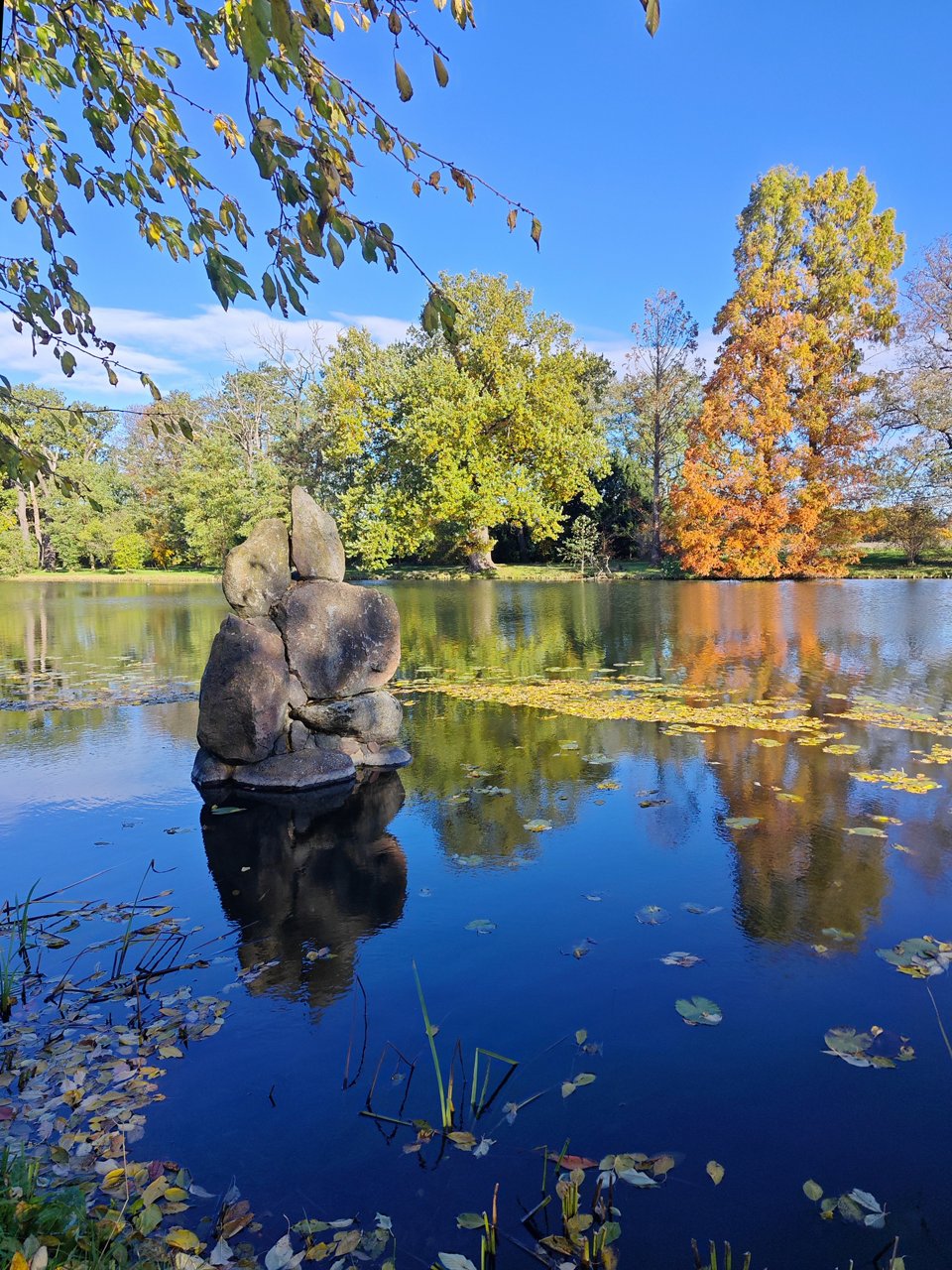 Fotowettbewerb: Im Rausch der Farben 2